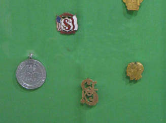 Sokol medal and pins
