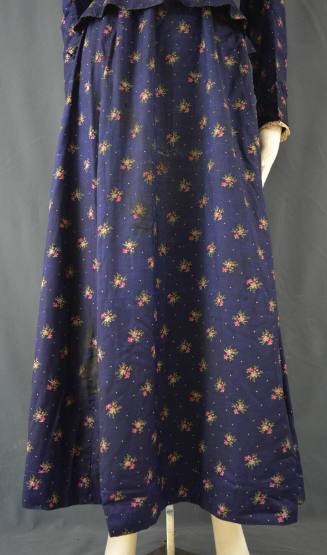 Skirt, 1880-1900